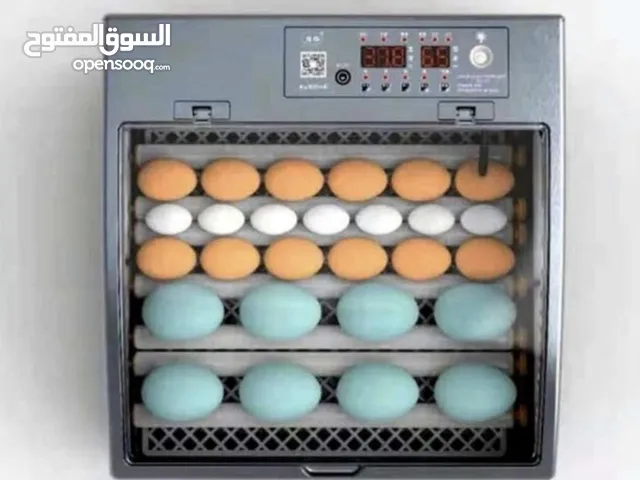 مفقسة بيض 36 بيضه