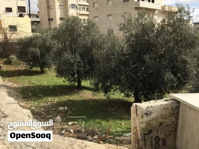 Residential Land for Sale in Bethlehem Al Doha