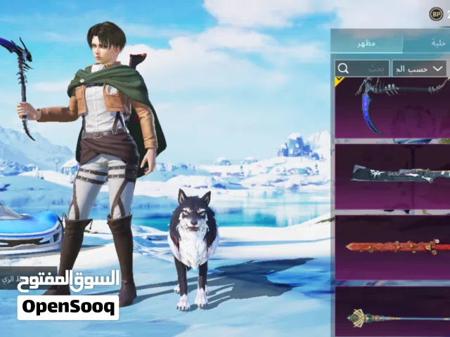 Pubg Accounts and Characters for Sale in Zarqa