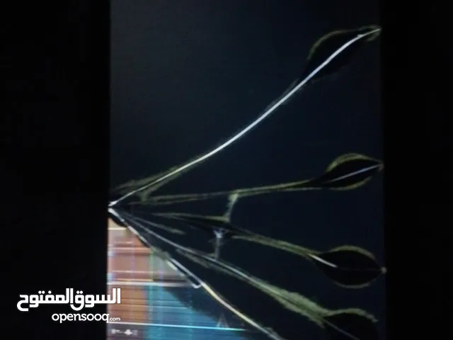 للبيع او البدل على فحل كناري شغال للبيع او البدل على فحل كناري شغال للبيع او البدل على فحل كناري شغا