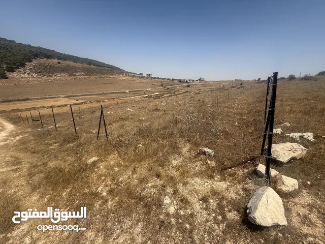 نمرة ارض مميزة مساحة صافي 1000 متر مربع
