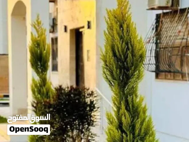 شقة للبيع عمارات باكوالالوان مقابل مفترق شركة الخليج