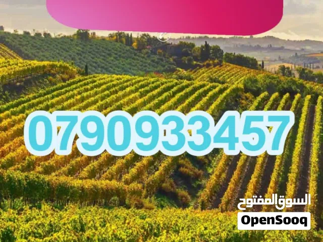 Residential Land for Sale in Amman Arjan