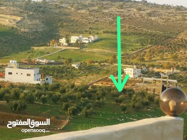 5200 متر الكمشة منطقة مزارع وشاليهات خدمات متوفرة