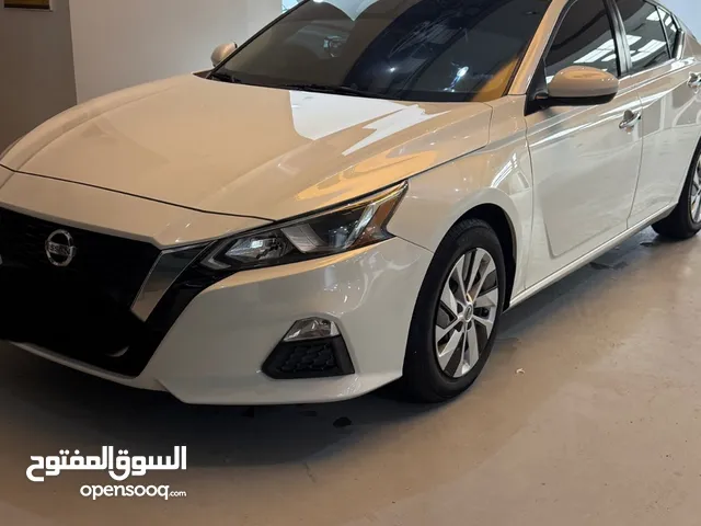 للبيع التيما خليجي