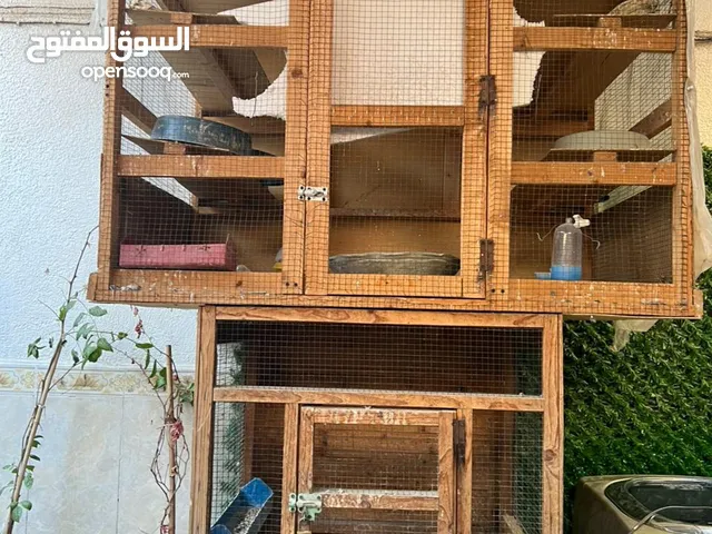 قفص طابقين