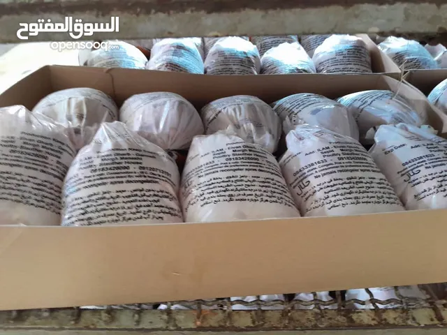 مبيعات تصدير الدجاج الكامل وأقدام الدجاج وأفخاذ الدجاج من الدرجة الأولى