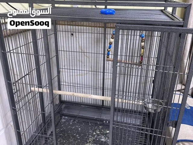قفص بغبغاء حجم كبير مع استان