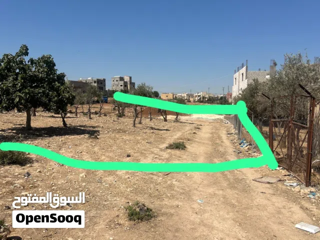 ارض للبيع في قرية ابوانصيير بسعر مغري