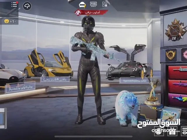 Pubg Accounts and Characters for Sale in Amman