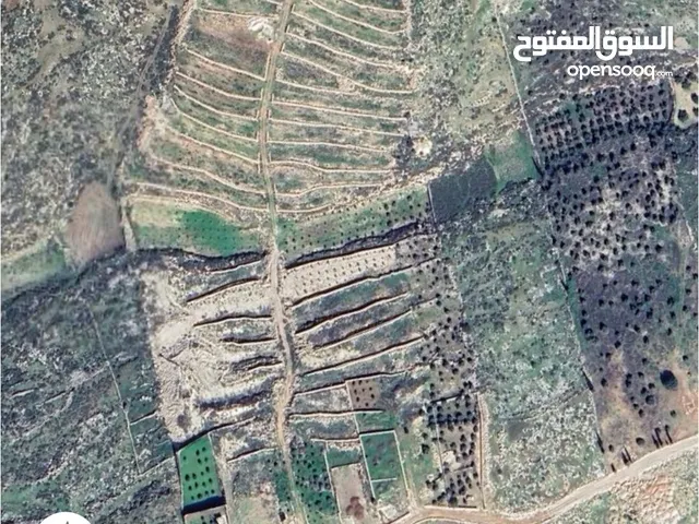 أرض للإيجار