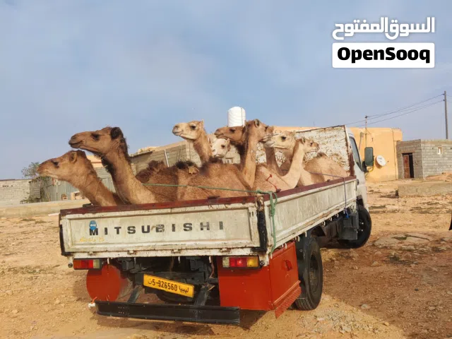 قعدان للبيع