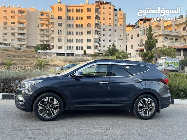 سانتفي 2016 فحص نخب