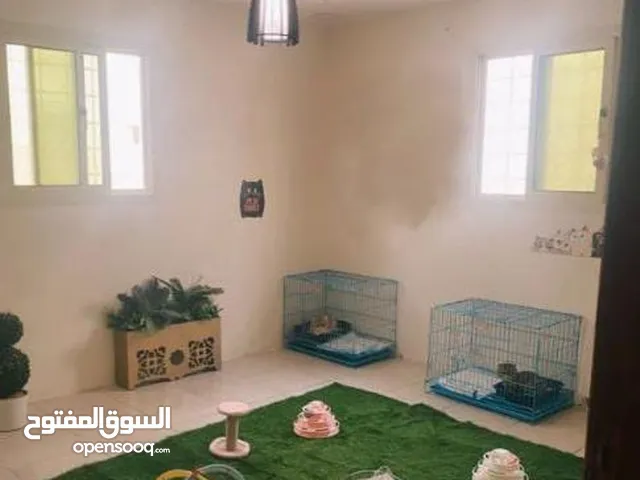 فندقة جميع انواع قطط