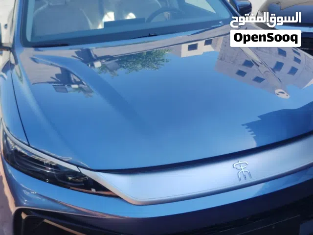 2025 بي واي دي سونج برو