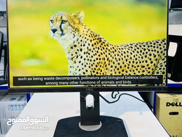 Dell Monitor