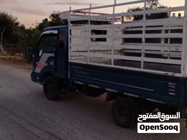 بنجووو فنتير