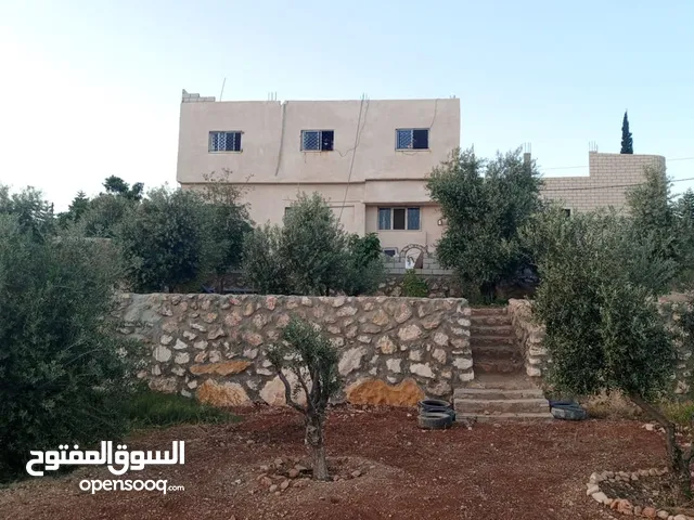 Building for Sale in Jerash Al-Rashaida