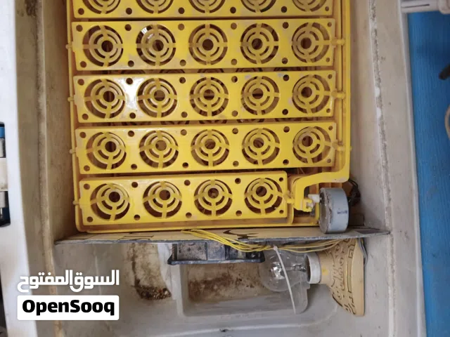 فقاسة للبيع