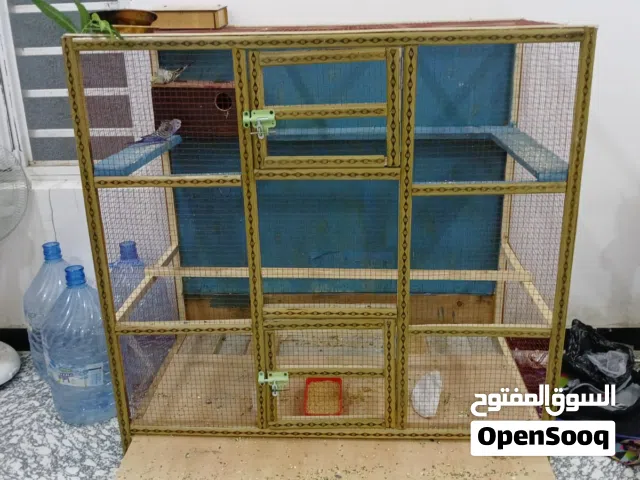 قفص طيور تفاصيل مهم
