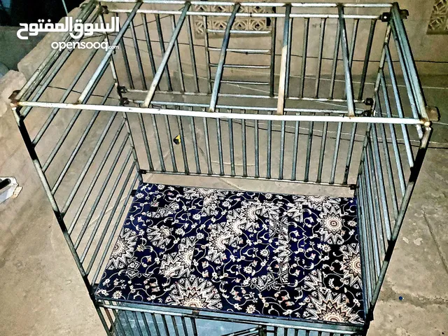 بسطه عرررطه وسعر بلاش 90 ألف بخساره 170 ألف