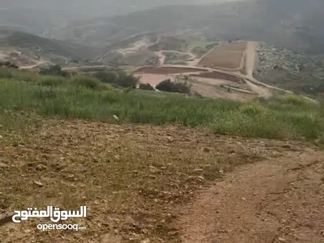 Farm Land for Sale in Salt Other