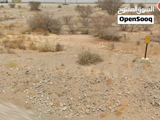 فرصة ذهبية للاستثمار في قلب ولاية بركاء  للبيع أرض سكني تجاري مميزة في ولاية بركاء  منطقة السقسوق  ا