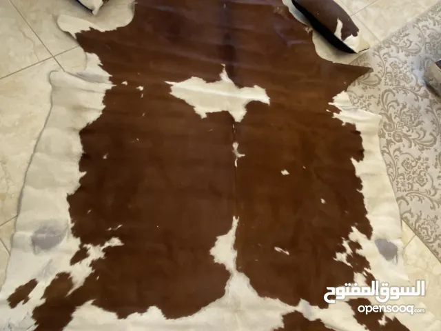 جلد بقري معالج من البكتيريا للبيع