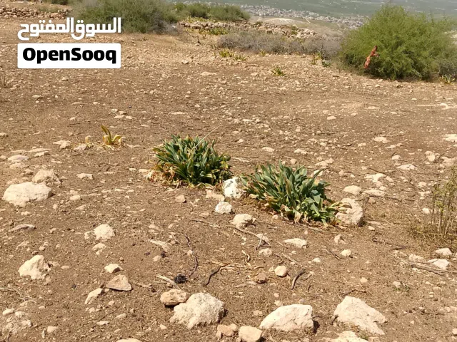 بيع قطعة ارض مخربا