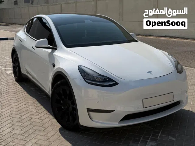 Tesla Model Y dual motor long range