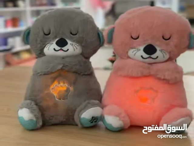 اتواصل عبر الواتساب نوصل لكل مكان في اليمن ان شاءالله  تنسيق الدب المتنفس صنعاء هدايا صنعاء