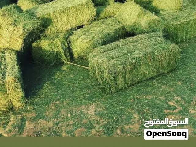 أعلاف بجودة ممتازة وتوصيل سريع