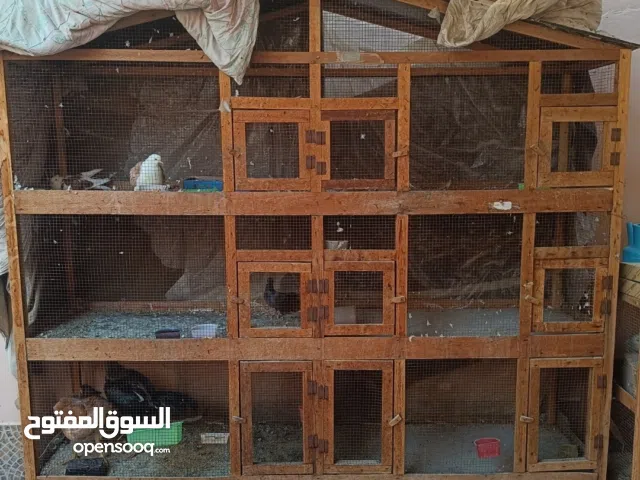 Big cage waterproof for pets قفص كبير للبيع