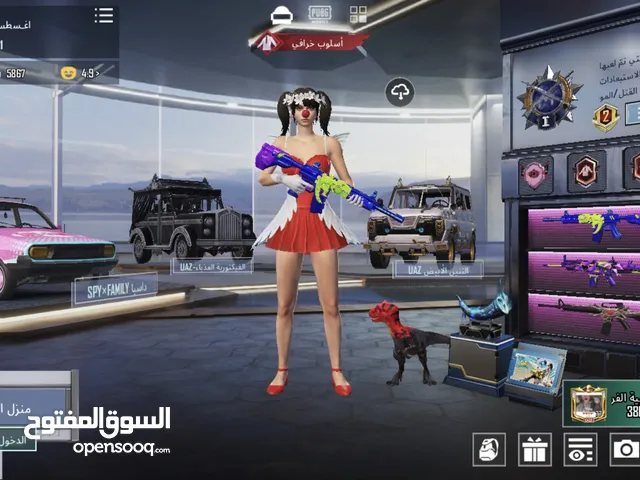 Pubg Accounts and Characters for Sale in Al Batinah