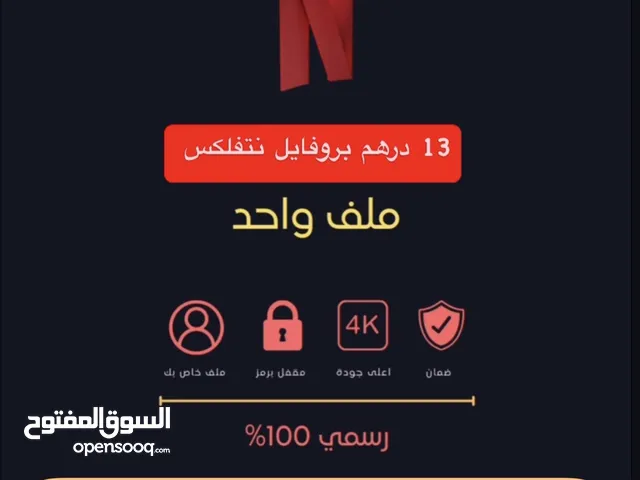 Netflix 10 AED private profile