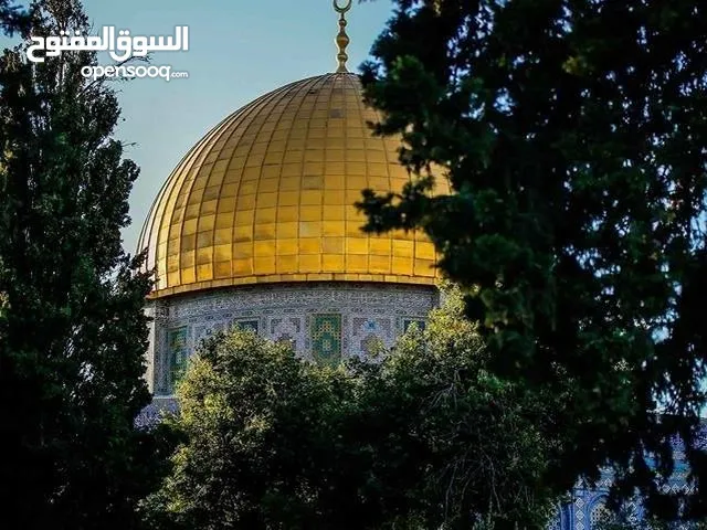 مطلوب صاروخ صغير مستعمل