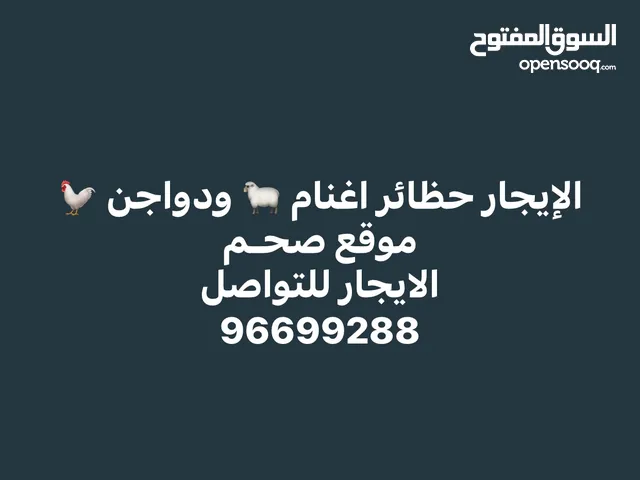 الإيجار حظائر دواجن و اغنام دجاج