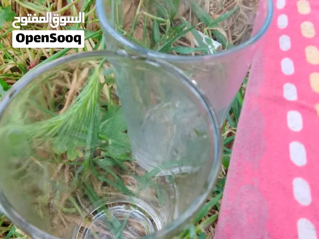 للبيع 2 دولار