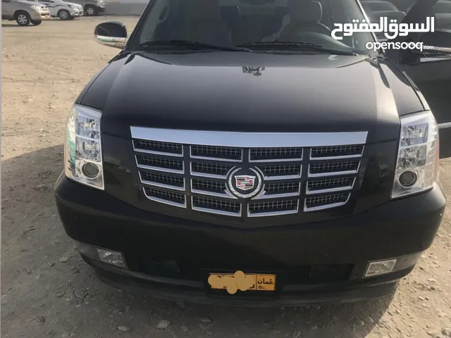 Used Cadillac Escalade in Muscat