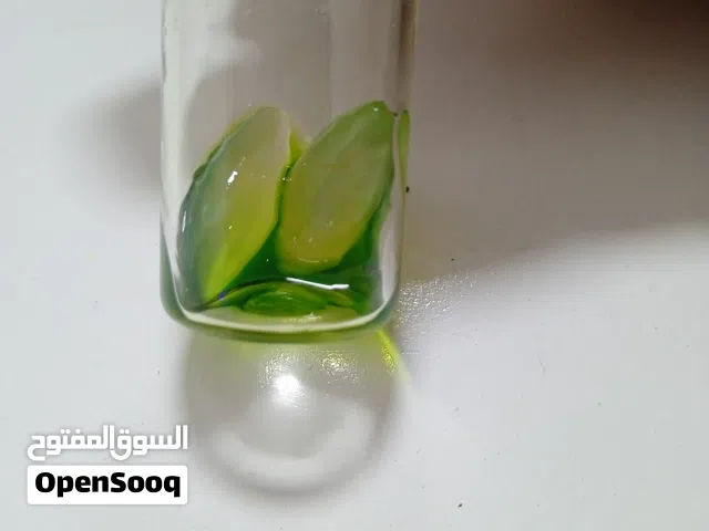  Rings for sale in Hawally