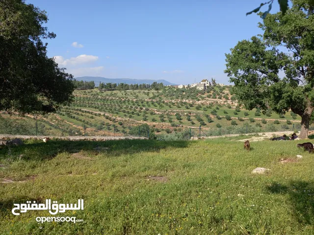 Mixed Use Land for Sale in Salt Al Balqa'