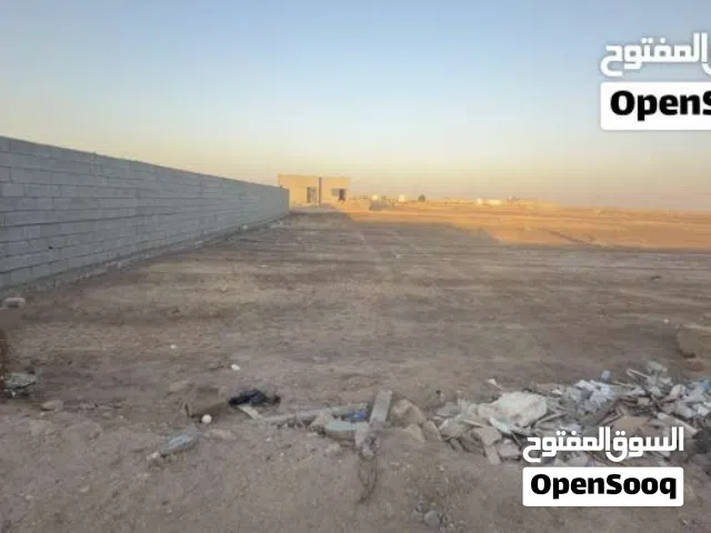 قطع البيع في جزيرة