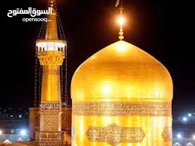 مترجم . سائق