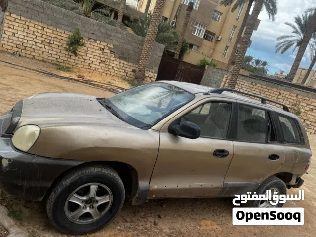 سنتافي جرانة (مغولية) 2004