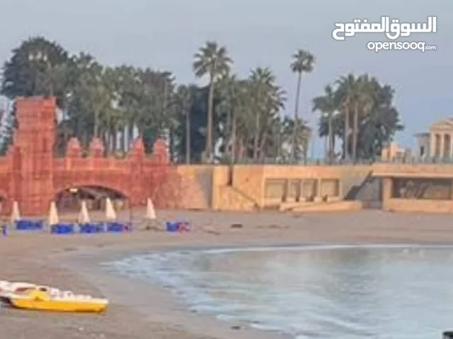 شقه فندقيه مكيفيه بالمعموره الشاطي صف اول علي البحر