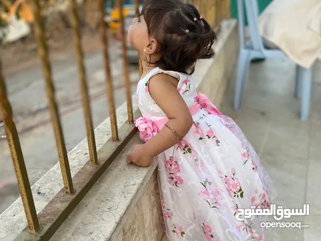 صالح عرفات عبد الفتاح