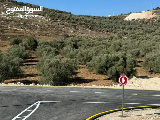 Residential Land for Sale in Nablus Beit Imreen