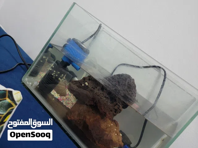 حوض سمك صغير حجم وسط