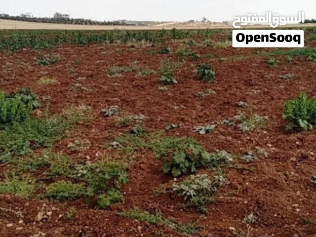 Mixed Use Land for Sale in Ramtha Al Torra