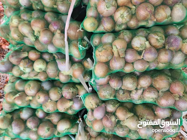 بصل عماني نظيف ومرتب ومجهز للبيع